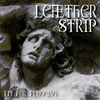Leather Strip - Fit for Flogging